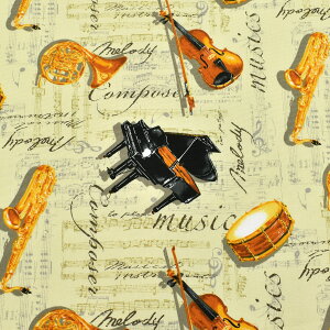 yƊy@IbNXn@ AP52206-2@RX@(50cmȏ10cmPʐ؂蔄)