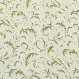 h[EO[@Rbgn@44362@Moda@_@(50cmȏ10cmPʐ؂蔄)