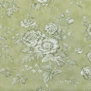 Z[WK[f@Rbgn@44360@Moda@_@(50cmȏ10cmPʐ؂蔄)