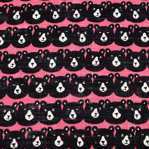 MƃxA@lCNXn@ 850520-1@o@(50cmȏ10cmPʐ؂蔄)