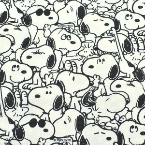 SNmg[@|GXeIbNXn@@pps(50cmȏ10cmPʐ؂蔄)