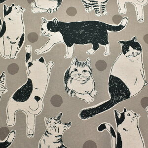 rbOL@ȖLoXn@KTS7110@Rbg΂₵@(50cmȏ10cmPʐ؂蔄)