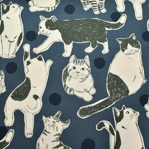 rbOL@ȖLoXn@KTS7110@Rbg΂₵@(50cmȏ10cmPʐ؂蔄)