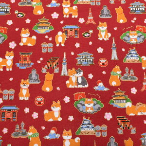 Č̓{߂@V[`On@ AP55802-1@RX@(50cmȏ10cmPʐ؂蔄)