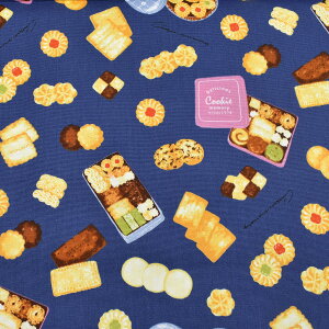 NbL[[@IbNXn@ AP55108-2@RX@(50cmȏ10cmPʐ؂蔄)