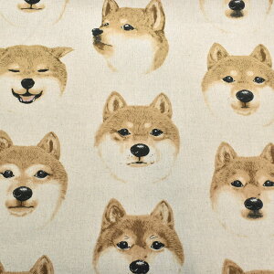 ȎĂ񂱁@ȖLoXn@ KTS7122@Rbg΂₵@(50cmȏ10cmPʐ؂蔄)