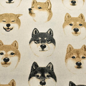 ȎĂ񂱁@ȖLoXn@ KTS7122@Rbg΂₵@(50cmȏ10cmPʐ؂蔄)