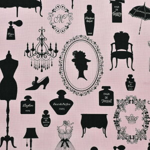 YUWA L֏X@g\[@V[eBOn@MC824942@(50cmȏ10cmPʐ؂蔄)@m݌Ɍn