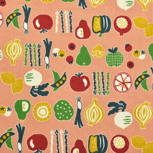 菑̖؂ƃt[c@V[`On@AP45902-2@RX@(50cmȏ10cmPʐ؂蔄)@m݌Ɍn