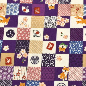 aȎČ@V[`On@ AP51802-2@RX@(50cmȏ10cmPʐ؂蔄)