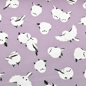 ӂV}GiK@IbNXn@AP61104-2@RX@(50cmȏ10cmPʐ؂蔄)