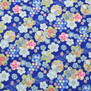 ԕa͗l@V[`On@AP61106-1@RX@(50cmȏ10cmPʐ؂蔄)