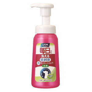 yA^CvzCI ybgLC ł􂦂 AXCVv[ p LION