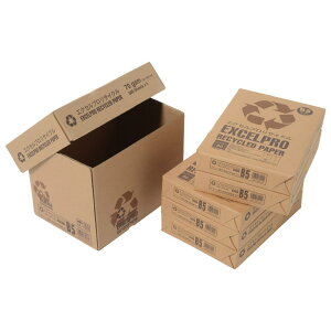 APP ĐRs[p GNZvTCN B5 Fx82% Î100% O[w@]l80 0.09mm 2500(500×5)