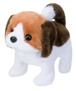 C(IWAYA) sbR[l r[O drœʂ 3324-5