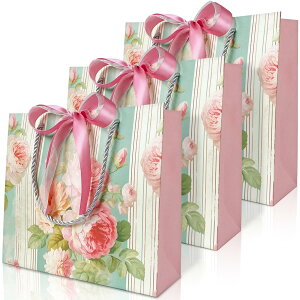 PARTNERR bsO MtgobO   TCYi22×25×8cmj킢  3 ԕ {2Ft a o ̓ o^C N  X } X(sN/u[j