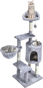 Lbg^[A̔LpAw̉Lbg^[A܂Ƃ|XgtAL̉BꏊASn̗ǂnbNA{[̂AqL̊_ (O[)