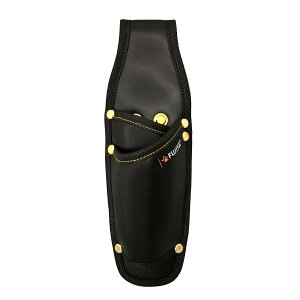 tW(Fujiya) y`2i() PS-62BG EEɋf