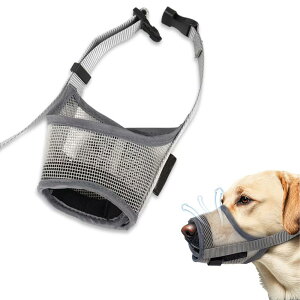   p}Y ʋC bV}XN Z[teB}XN p}Y ybgpi ʖih~ Ƌݖh~ Ƌjh~ ̌ی삷 ^ TCY\ (L)