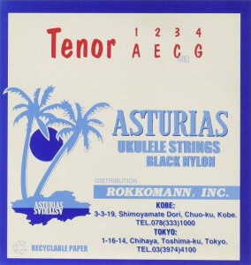 ASTURIAS(AXgAX) ei[EN