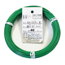 ダイドーハント (DAIDOHANT) 針金 ビニー ル被覆 カラーワイヤー グリーン ( 緑 ) 太さ #16 (1.6 mm x 長さ 40m 10155312