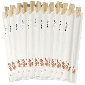 Y 蔢  { Y O \21cm 100V  ̂ Ă Ɩp