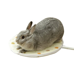 �A�C���X�I�[���} �C�k �y�b�g�p�z�b�g�J�[�y�b�g S�T�C�Y �ی` PHK-S