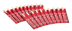 Y Ђ̂ ݂t  i 20Vg j21cmb{ ݂ Ԍ