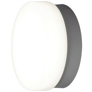 �A�C���X�I�[���} LED�|�[�`�E������ �ȃG�l �ی^ 60W �����F 520lm ���� ���� ���ʏ� �������O���pCL5N-CIPLS-BS