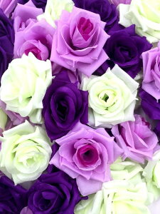 yglaystorez o  [Y KN AW 8Z` 50Zbg  2 p[eB[ uC_Cxg (p[v×Cgp[v×zCg)