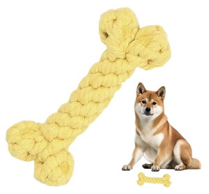 CHIPPfS ̊ނ RbgKu{[, p, [v, , XgX, C^Yh~,^E^ (CG [)