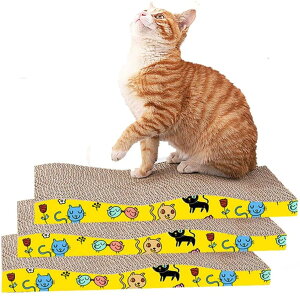 timiland L ߂Ƃ _{[ 3Zbg 傫ȔLƎqLK LXNb` ˂ ܂Ƃ}bg ܂₷ ܂Ƃ L L܌_{[ i{[x ϋv L\t@[ EF[u^Cv