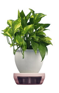 |bgL[p[ ϗtA̔rȒPɎ̂Ă锫M p 20cm M 350m? `p 5 6 7 8 e[uɔrڂÂ炢@\t 6cmc (VFsN)