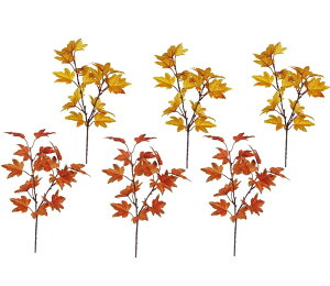 siawadeky lHgt  JGf̗t H 6{Zbg nEB 胊[X H n̋G Ӎ  X  Be nEB  ObY 39cm