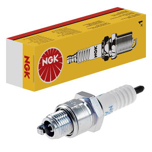 ���{���ꓩ��(NGK) �X�p�[�N�v���O ��ʃv���O (�l�W�`/�^�[�~�i���Ȃ�)1�{ �y4296�z BR6HSA