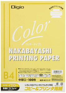 iJoV Rs[v^p J[^Cv B4 100 CG [ HCP-4111-Y