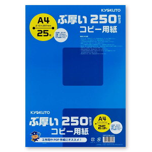 LNgEEA\VGCc Rs[p A4 ԌRs[p 25 PPC250A4