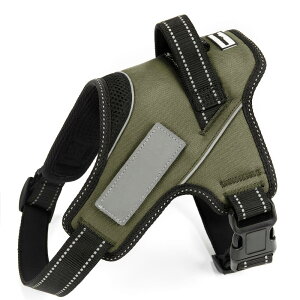 yhbOg[i[EIzLiberte harness  n[lX AɗD l[v[g hbOn[lX (MTCY, _[NO[)