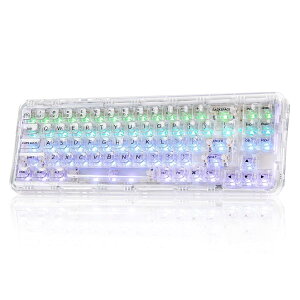 YUNZII X71 ���J�j �J���Q�[�~���O�L�[�{�[�h �����L�[�L���b�v 71�L�[ 68%�z�� ���C�����X �z�b�g�X���b�v�Ή� BT5.0/2.4G/USB-C �K �X�P�b�g���� RGB ���� Windows/Mac�p �Z�K�F�؎擾�i�N�� �X�^���A�C