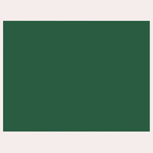 V(Shinwa Sokutei)  ؐ n 450×600mm 76975