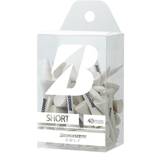 BRIDGESTONE(uaXg) St EbheB[(V[gE43{) GAG302 zCg 2023Nf