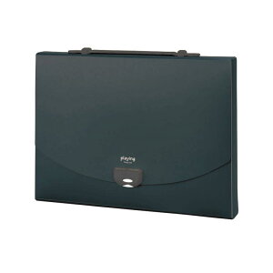 ZLZC hLgt@C vCO 2EFCP[X A4 ubN AP-952