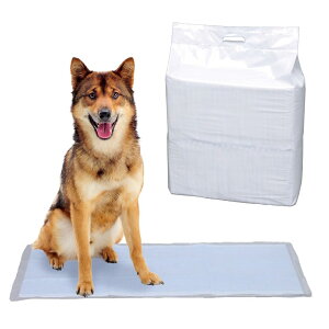 ACXI[} ybgV[c ^ 1ĝ R L ^E^ _uCh 50