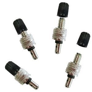 reiri ] S sv X[p[ou p (ubN4) t ނSsv ou