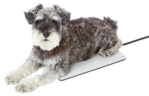 AhCg (ADD. MATE) ybgE Ckpo[VudCq[^[ n[h MTCY