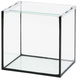 RguLH| OXtbg F|20S/B ubNVR 20cmiṔj ll5_