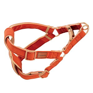 hM[} Doggyfs Tailor hbOn[lX(ǂ) L XG[hX^C IW