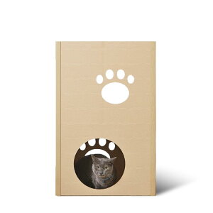 ACXI[} ˂˂^[ 2i i{[ P-NT2