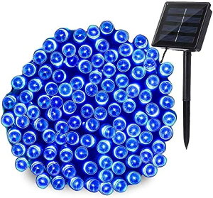 SUCCUL C~l[V \[[ O h LED N  X } X Cg XgOCg 200 20m Rg[ [t