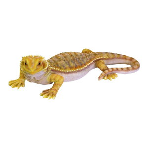 �t�g�A�S�q�Q�g�J�Q ������ PET BANK POGONA YELLOW �y�b�g�o���N �|�S�i �C�G ���[ #25177